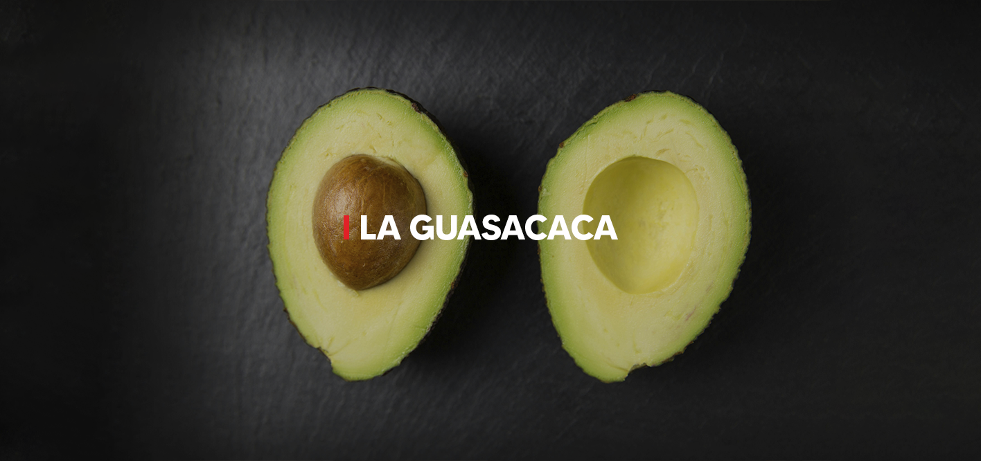 LA GUASACACA